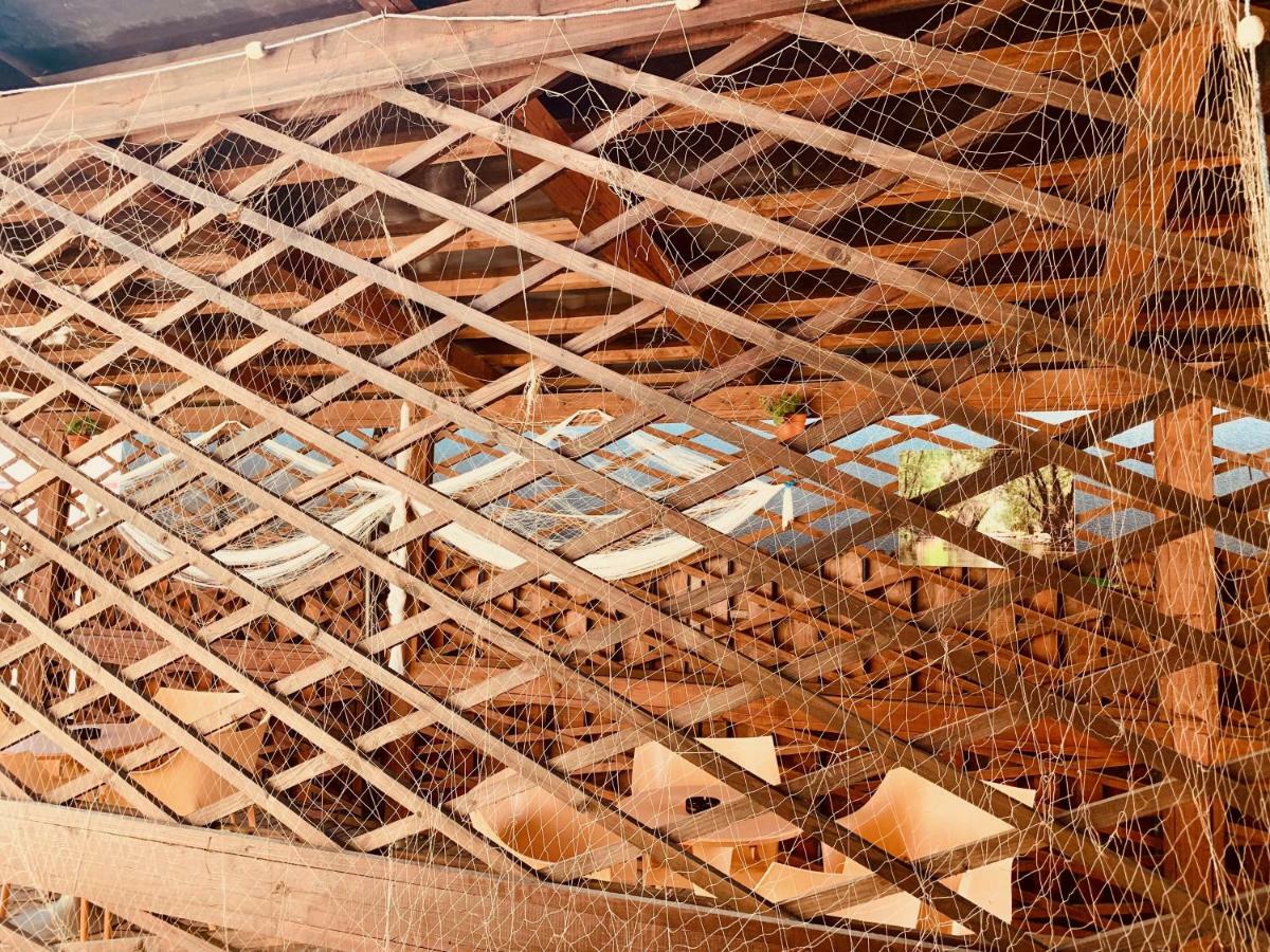 ホテル Casa Carter スフントゥ・ゲオルゲ エクステリア 写真