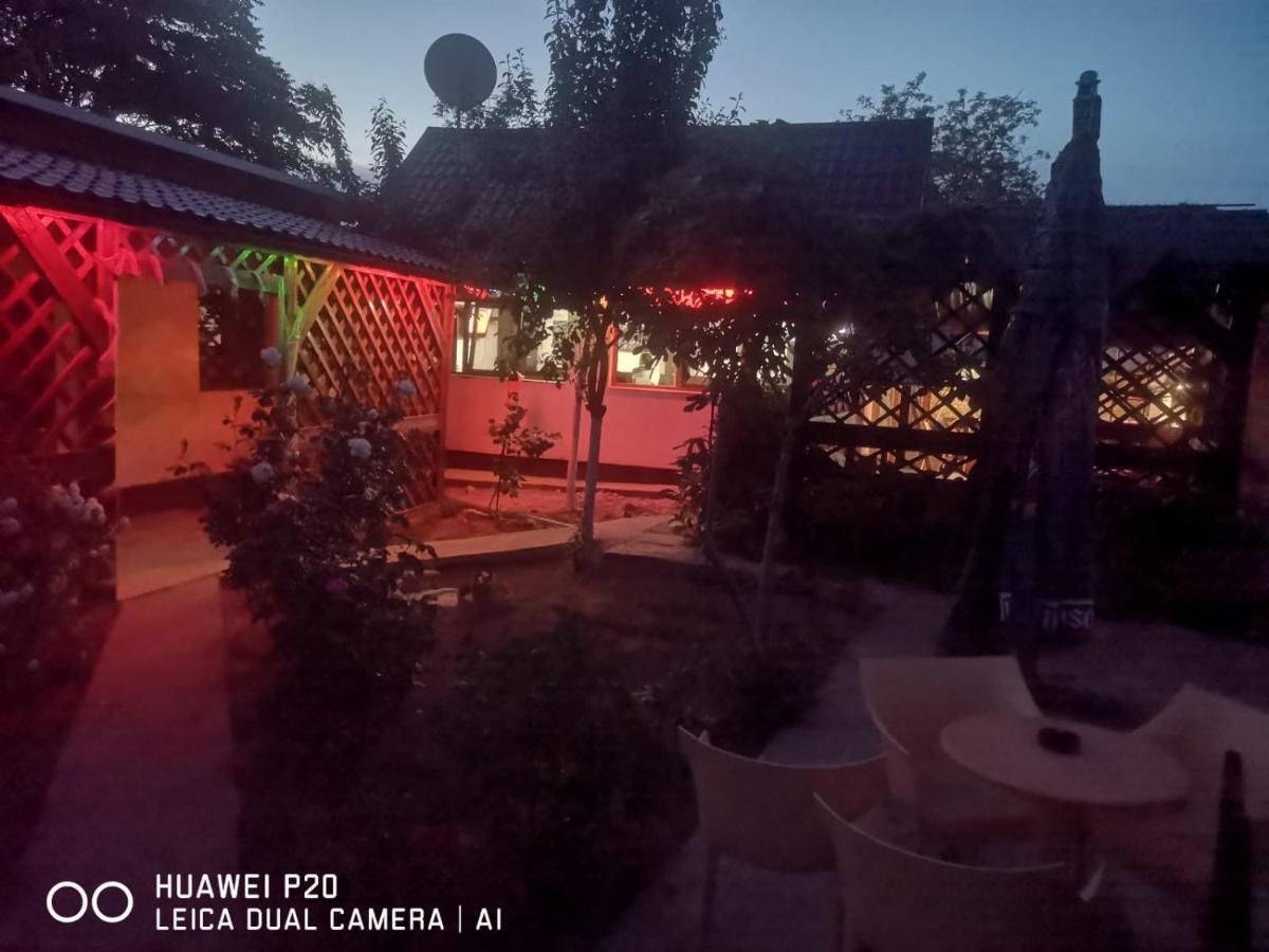 ホテル Casa Carter スフントゥ・ゲオルゲ エクステリア 写真